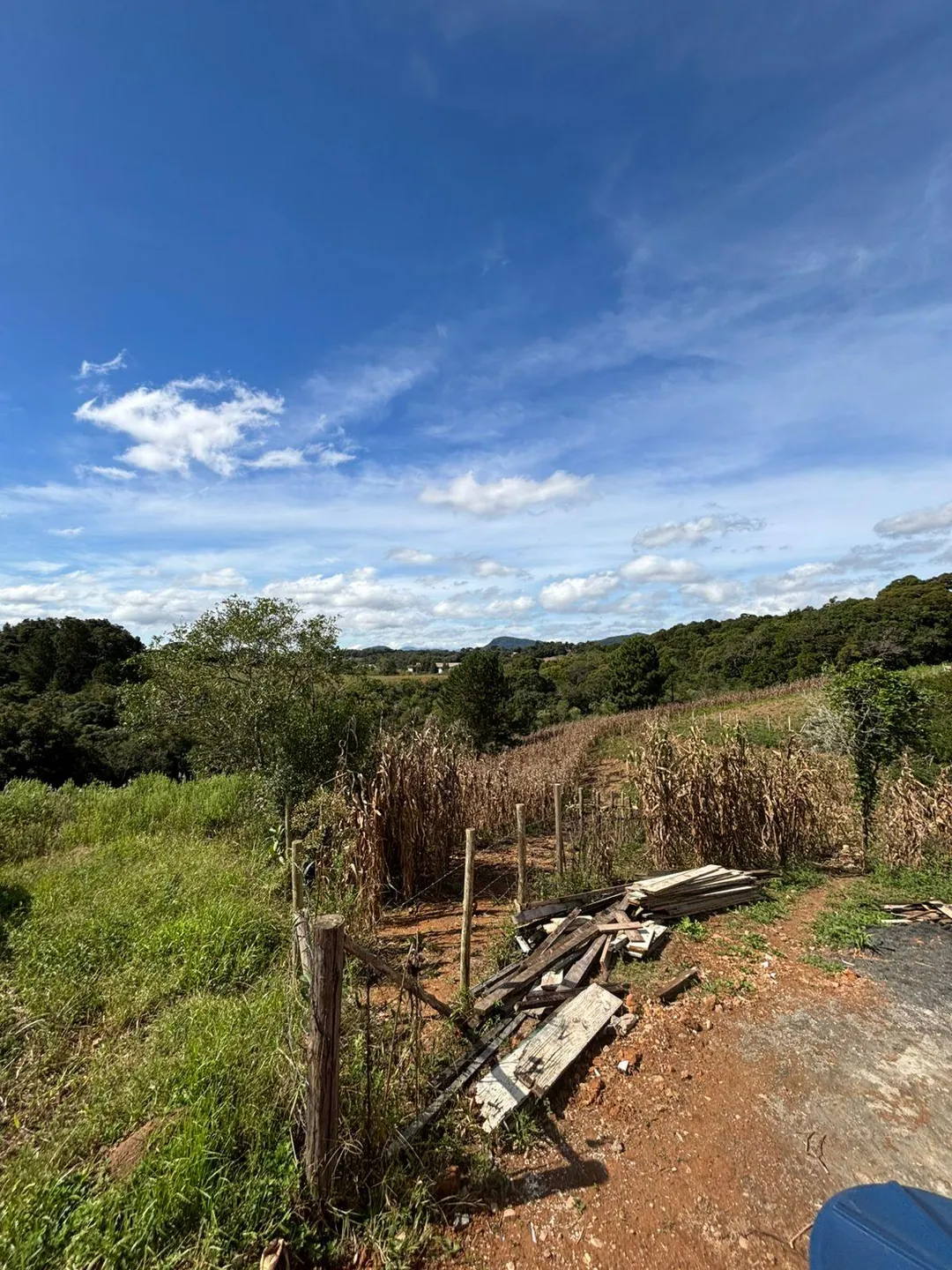 Terreno, 8100 m² - Foto 3