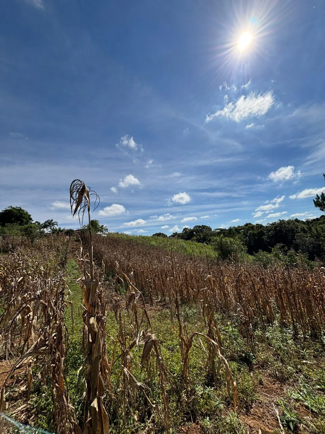 Terreno, 8100 m² - Foto 5