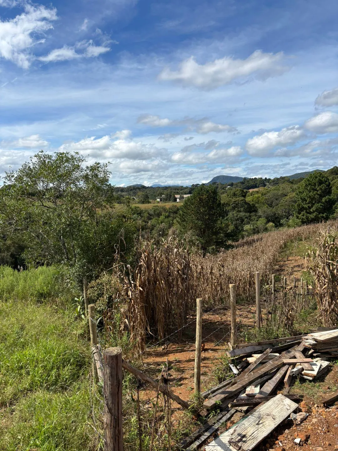 Terreno, 8100 m² - Foto 6