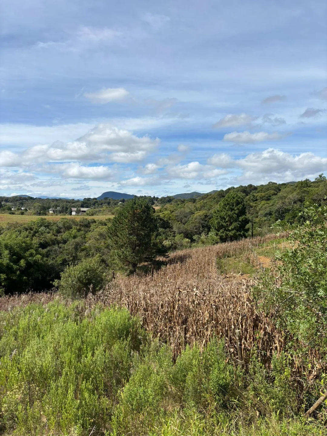 Terreno, 8100 m² - Foto 1