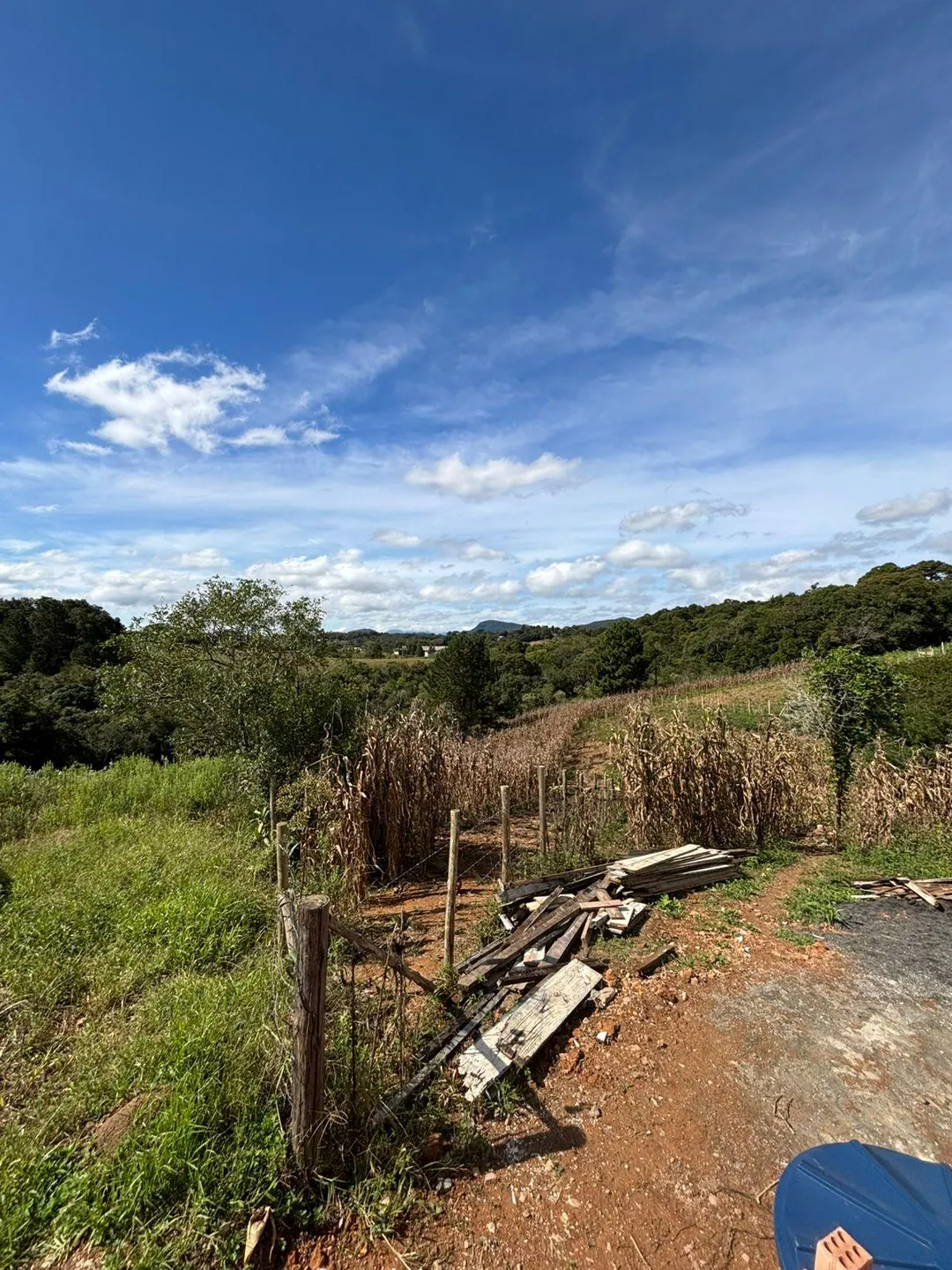 Terreno, 8100 m² - Foto 8
