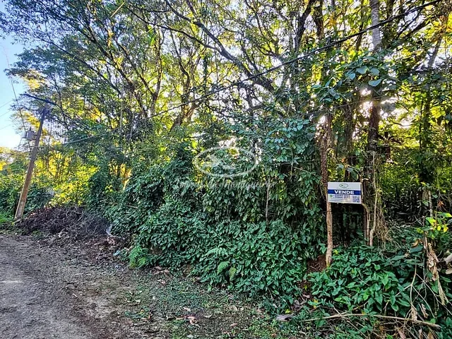 Terreno com 1200m², à venda, no bairro Côrrego Frio (Penedo) em Itatiaia