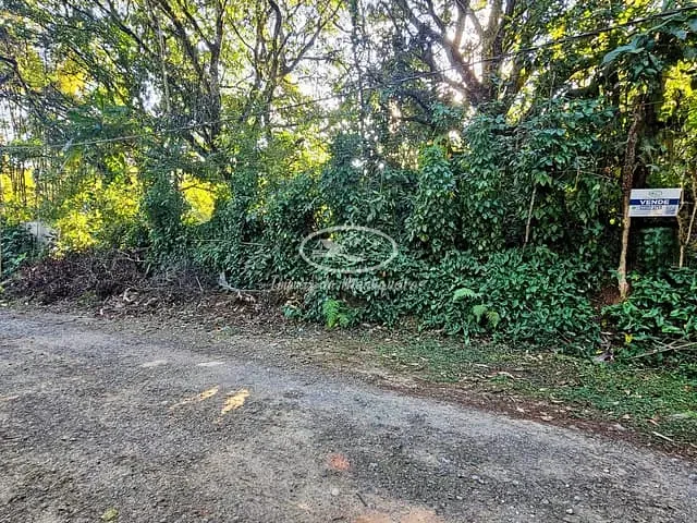 Terreno com 1200m², à venda, no bairro Côrrego Frio (Penedo) em Itatiaia