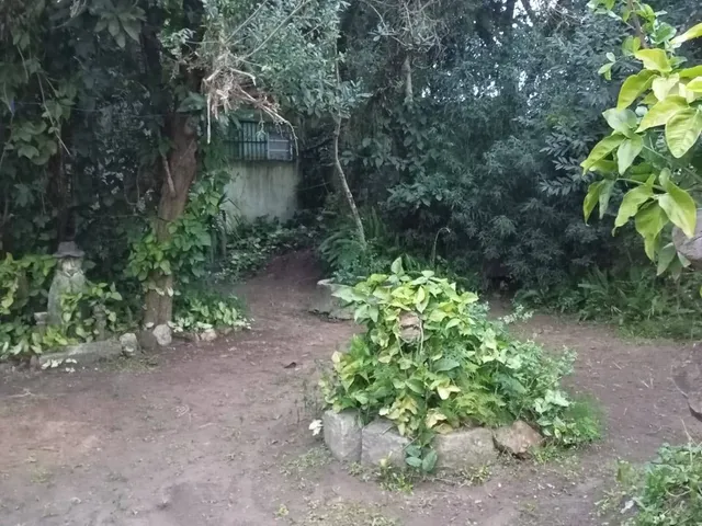 Terreno com 396m², à venda, no bairro Laranjal em Pelotas