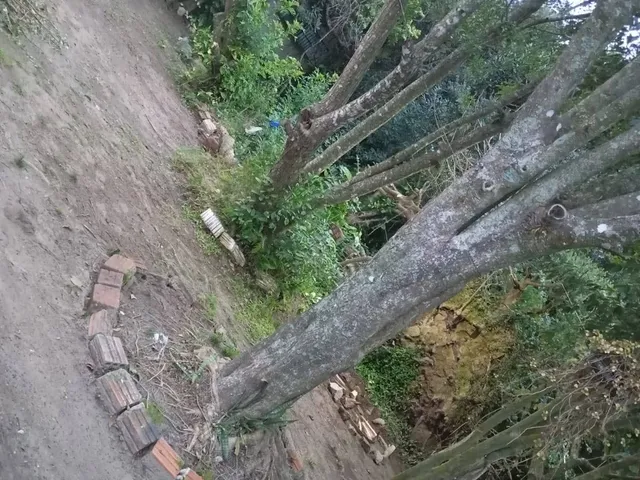 Terreno com 396m², à venda, no bairro Laranjal em Pelotas