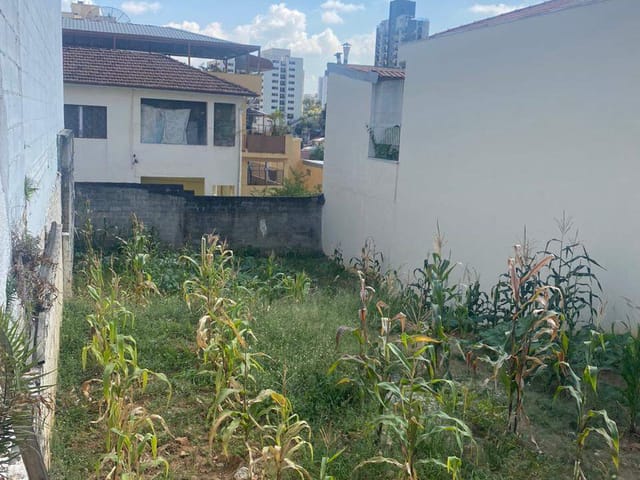 Terreno com 213m², à venda, no bairro Sumaré em São Paulo