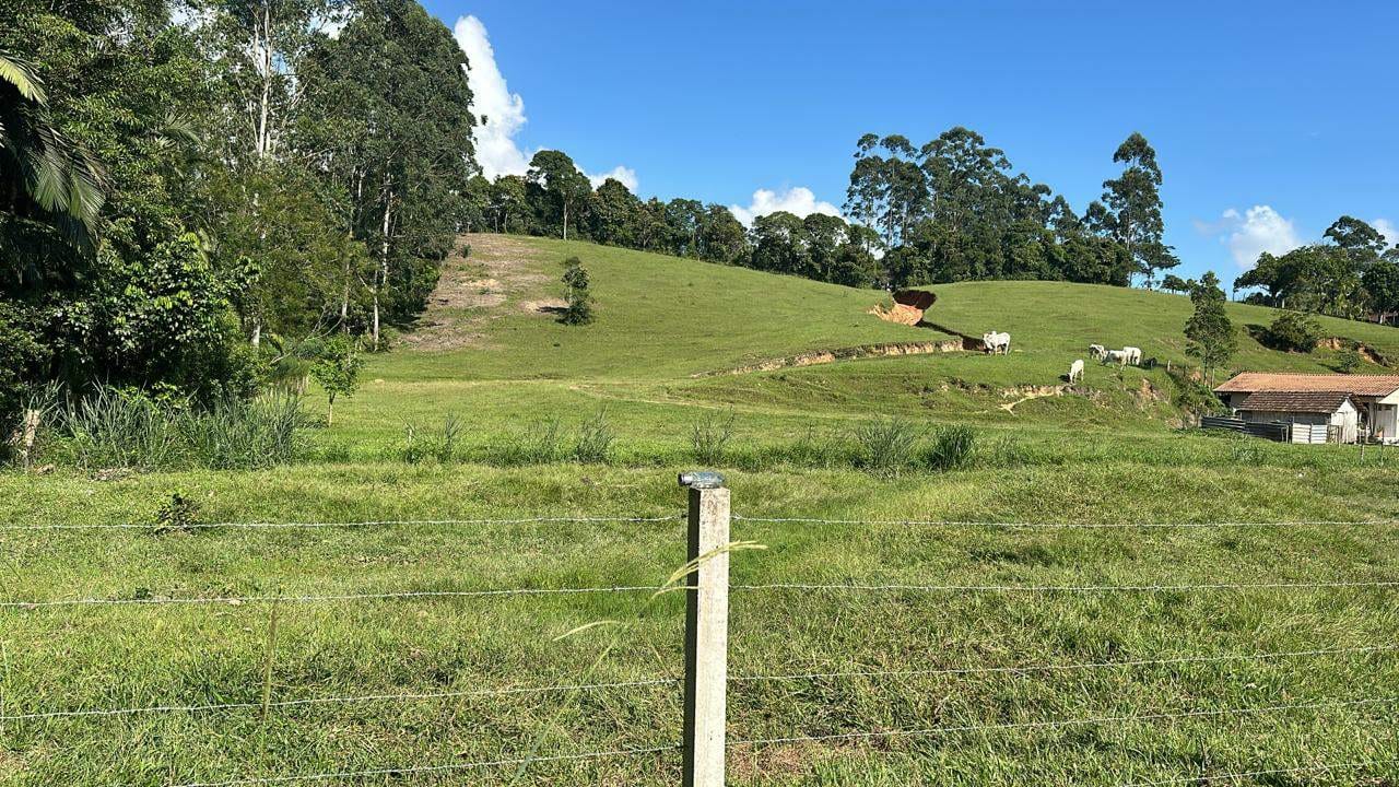 Terreno, 2 hectares - Foto 1