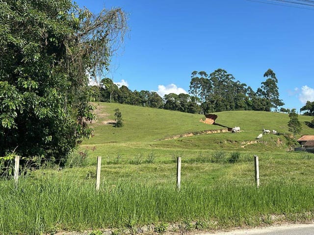 Terreno com 20000m², à venda, no bairro Barracão em Gaspar
