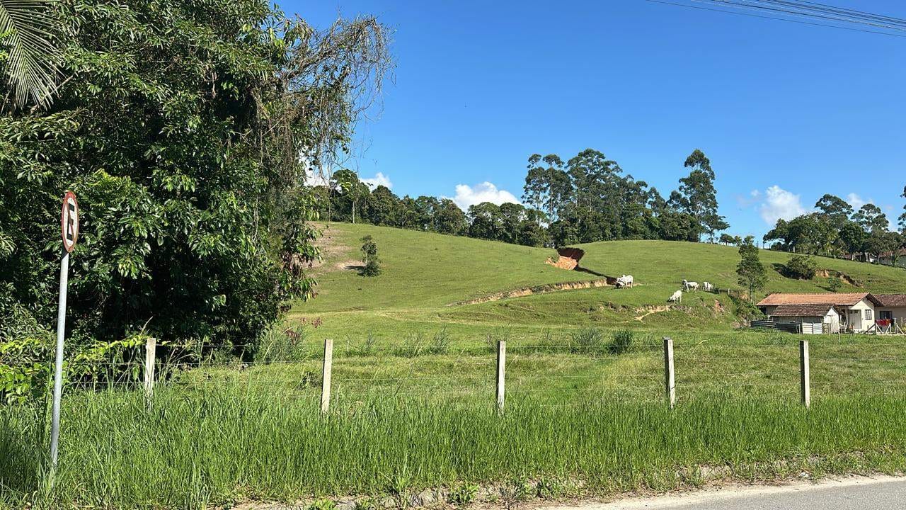 Terreno, 2 hectares - Foto 4