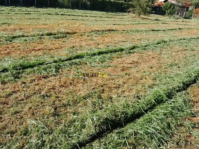 Terreno com 2543m², à venda, no bairro Real Village em Piratininga