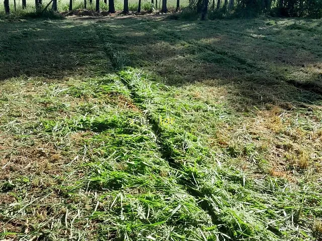 Terreno com 2543m², à venda, no bairro Real Village em Piratininga