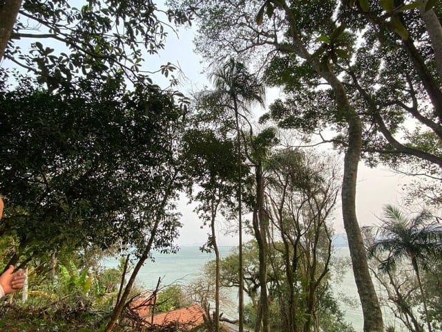 Foto do Terreno - Oportunidade Rara: Área de 17.000M² | Ideal para Projeto Ecológico, Caieira da Barra do Sul em Florianópolis Santa Catarina | Costão Sul Imóveis