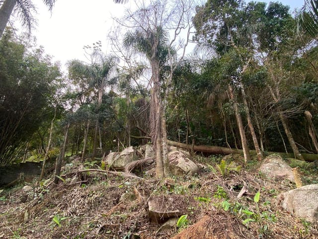 Foto do Terreno - Oportunidade Rara: Área de 17.000M² | Ideal para Projeto Ecológico, Caieira da Barra do Sul em Florianópolis Santa Catarina | Costão Sul Imóveis