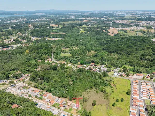 Terreno com 15400m², à venda, no bairro Colônia Faria em Colombo