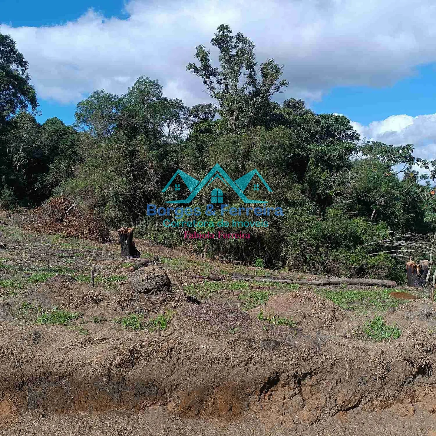 Terreno, 1500 m² - Foto 5