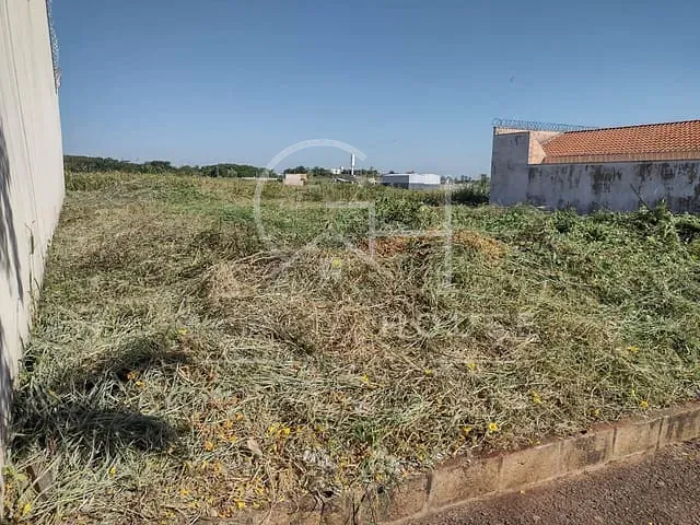 Terreno com 200m², à venda, no bairro Jardim Santa Cecília em Bonfim Paulista