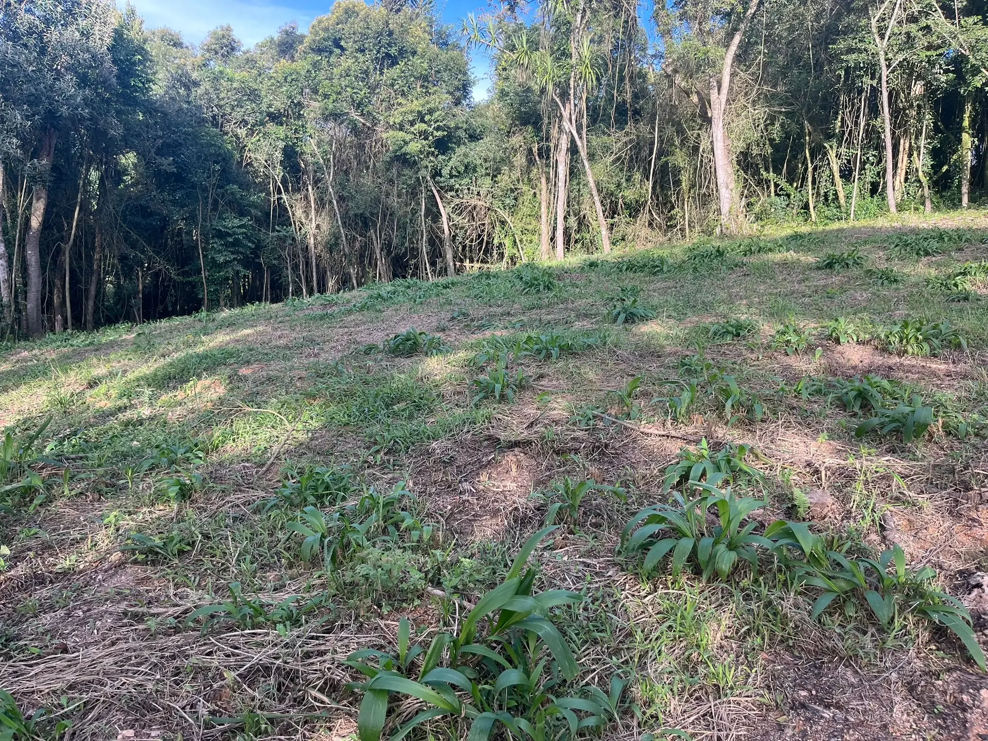 Terreno, 2000 m² - Foto 1