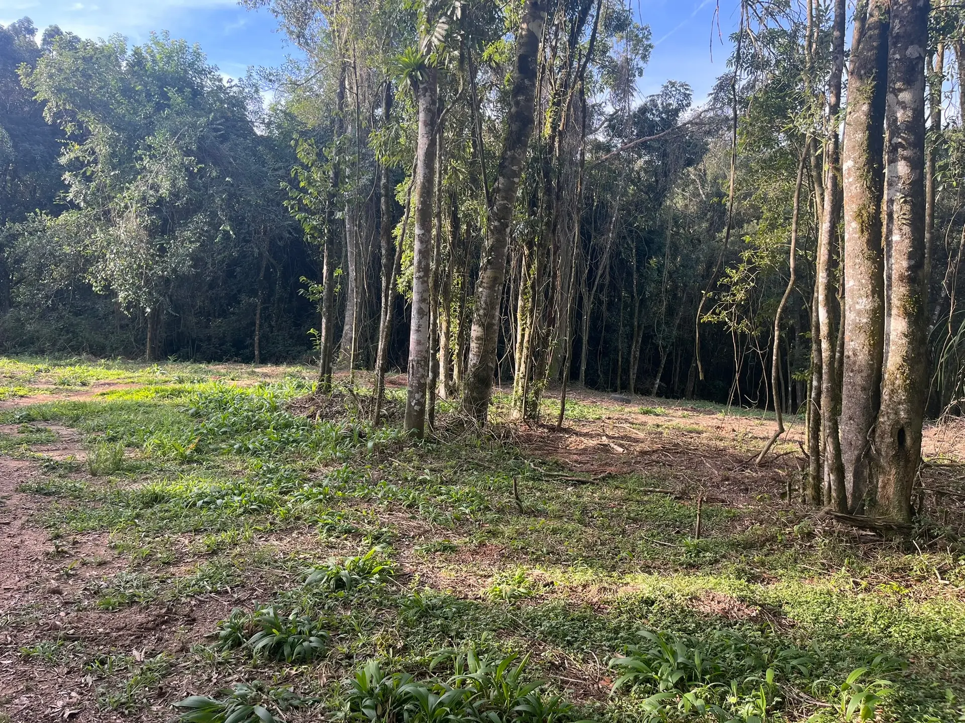 Terreno, 2000 m² - Foto 9