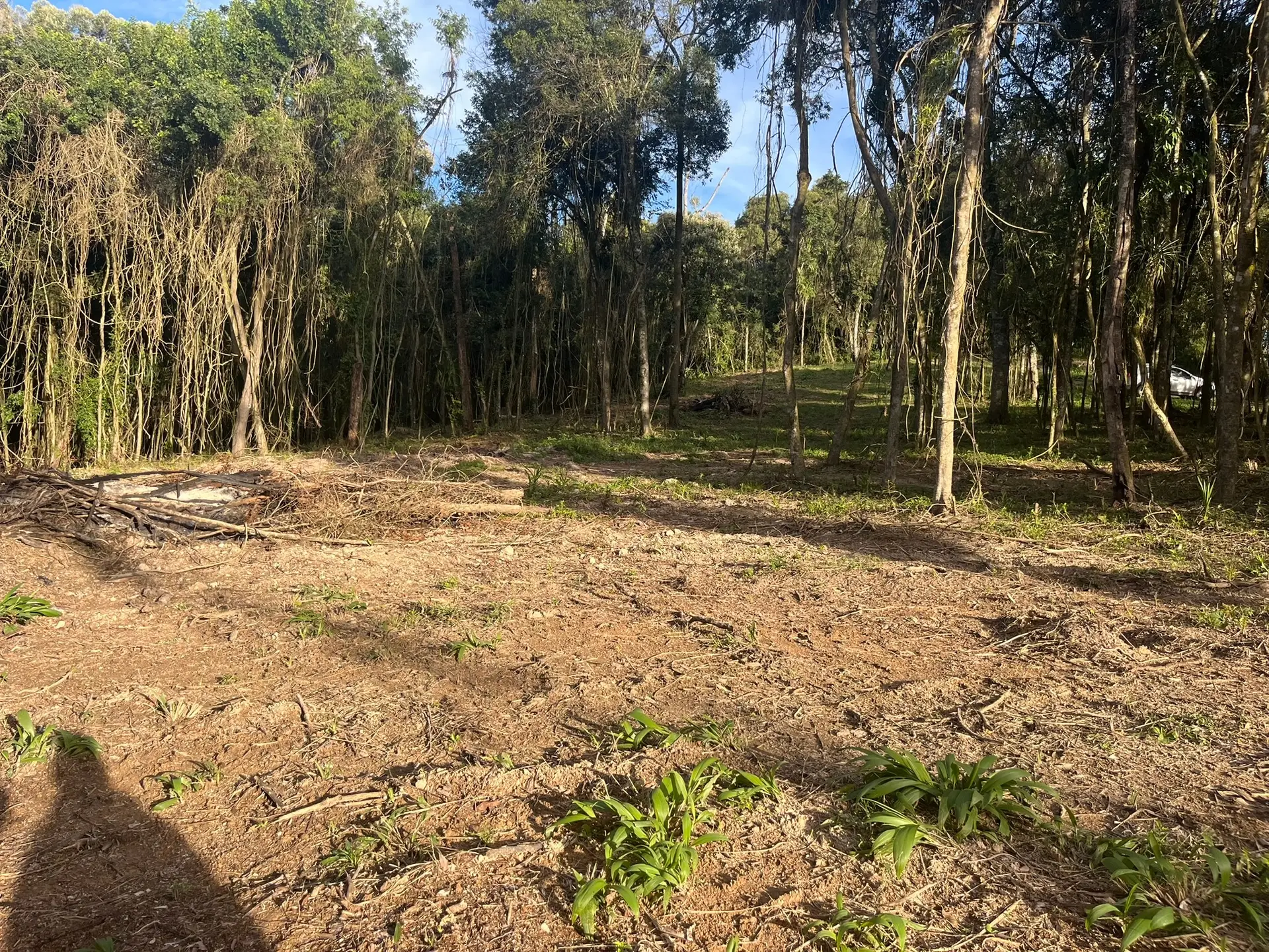 Terreno, 2000 m² - Foto 10