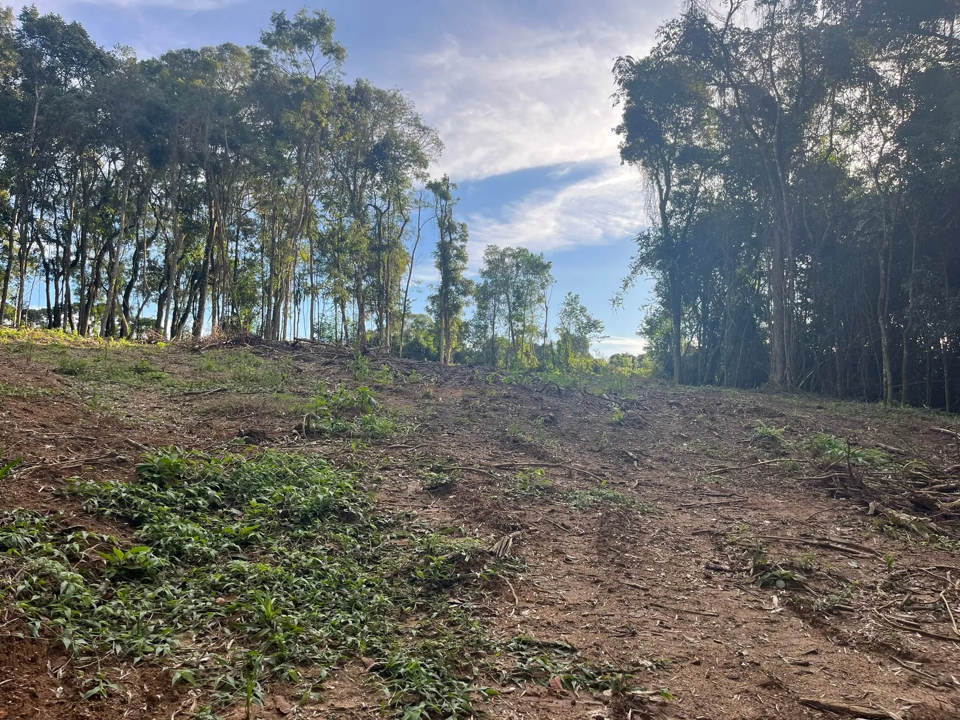 Terreno, 2000 m² - Foto 2