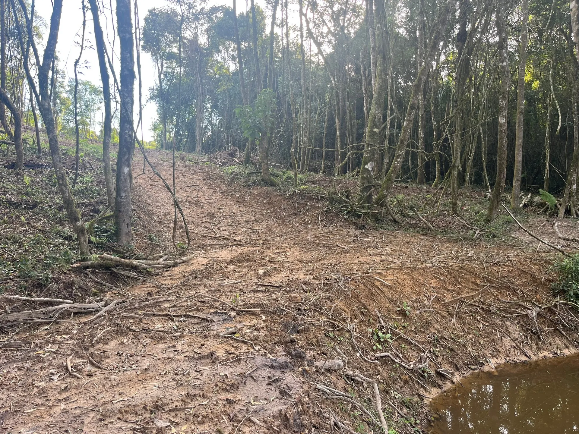 Terreno, 2000 m² - Foto 3