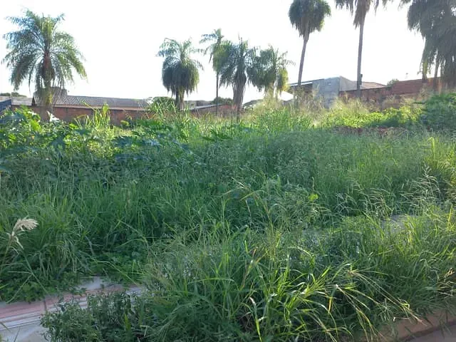 Terreno com 6333m², à venda, no bairro São Francisco em Campo Grande
