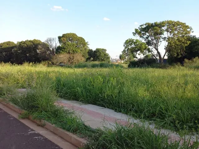 Terreno com 6333m², à venda, no bairro São Francisco em Campo Grande