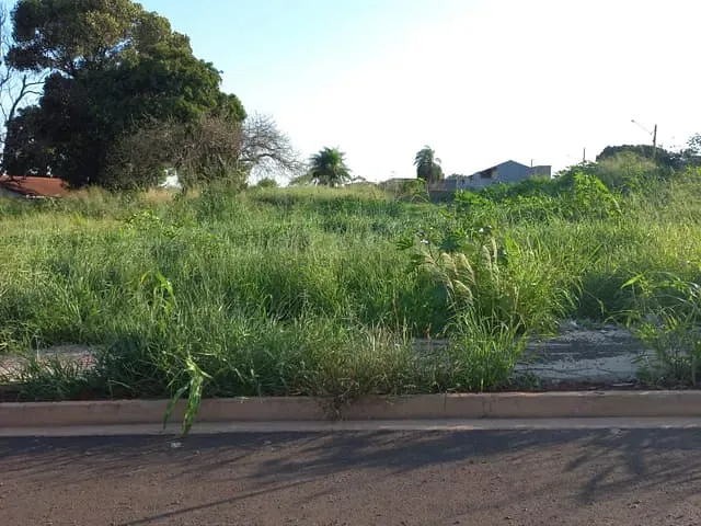 Terreno com 6333m², à venda, no bairro São Francisco em Campo Grande