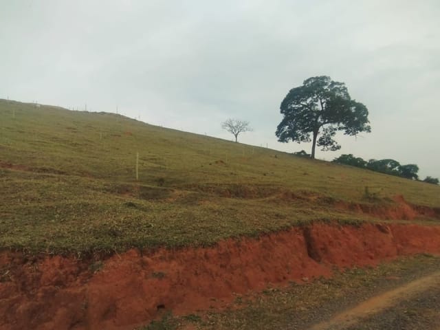 Terreno com 2010m², à venda, no bairro Bom Sucesso em Cambuí
