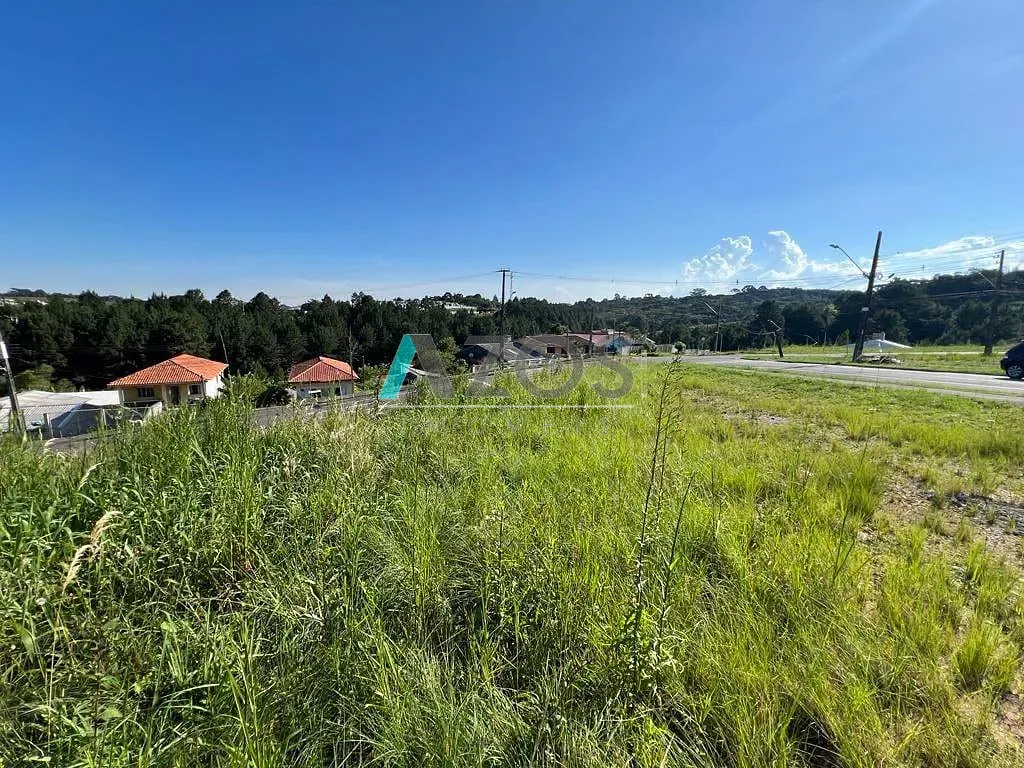 Terreno, 290 m² - Foto 3