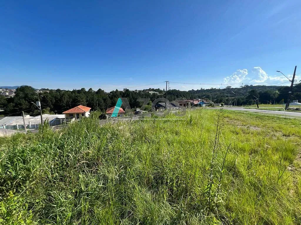 Terreno, 290 m² - Foto 4