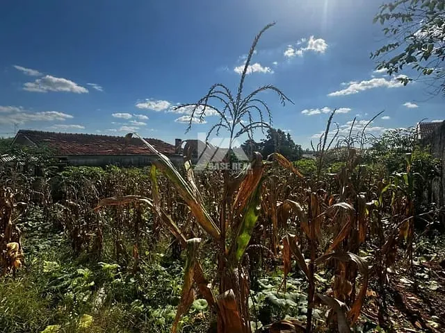Terreno com 525m², à venda, no bairro Uvaranas em Ponta Grossa