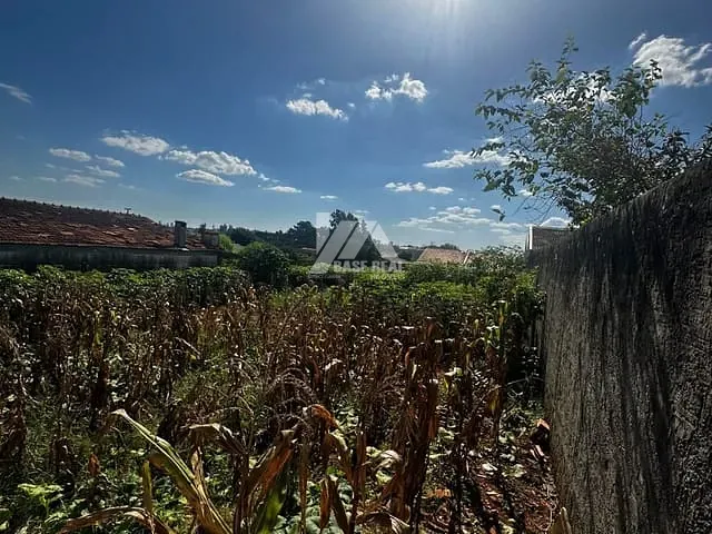 Terreno com 525m², à venda, no bairro Uvaranas em Ponta Grossa