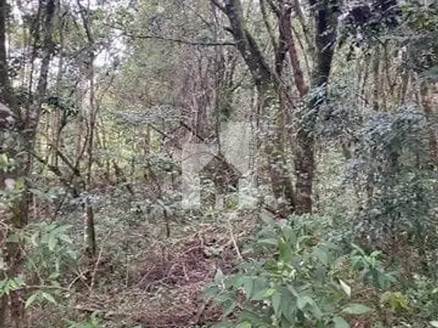 Terreno com 1700m², à venda, no bairro Loteamento Santo Antonio II em Jundiaí
