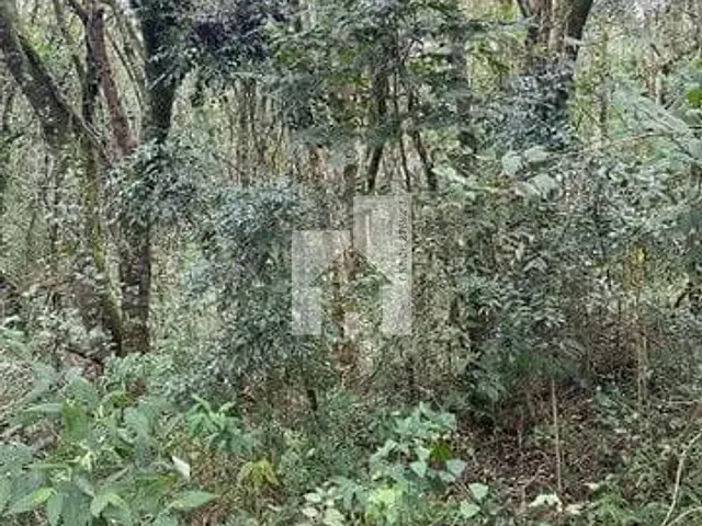Terreno com 1700m², à venda, no bairro Loteamento Santo Antonio II em Jundiaí