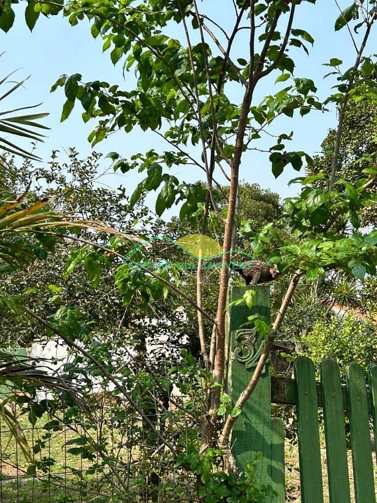 Terreno, 329 m² - Foto 18