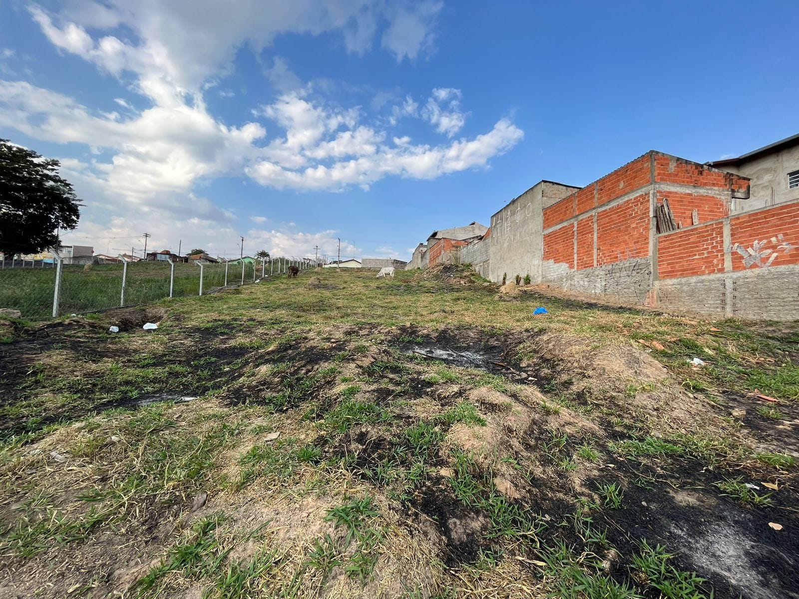 Terreno, 726 m² - Foto 2