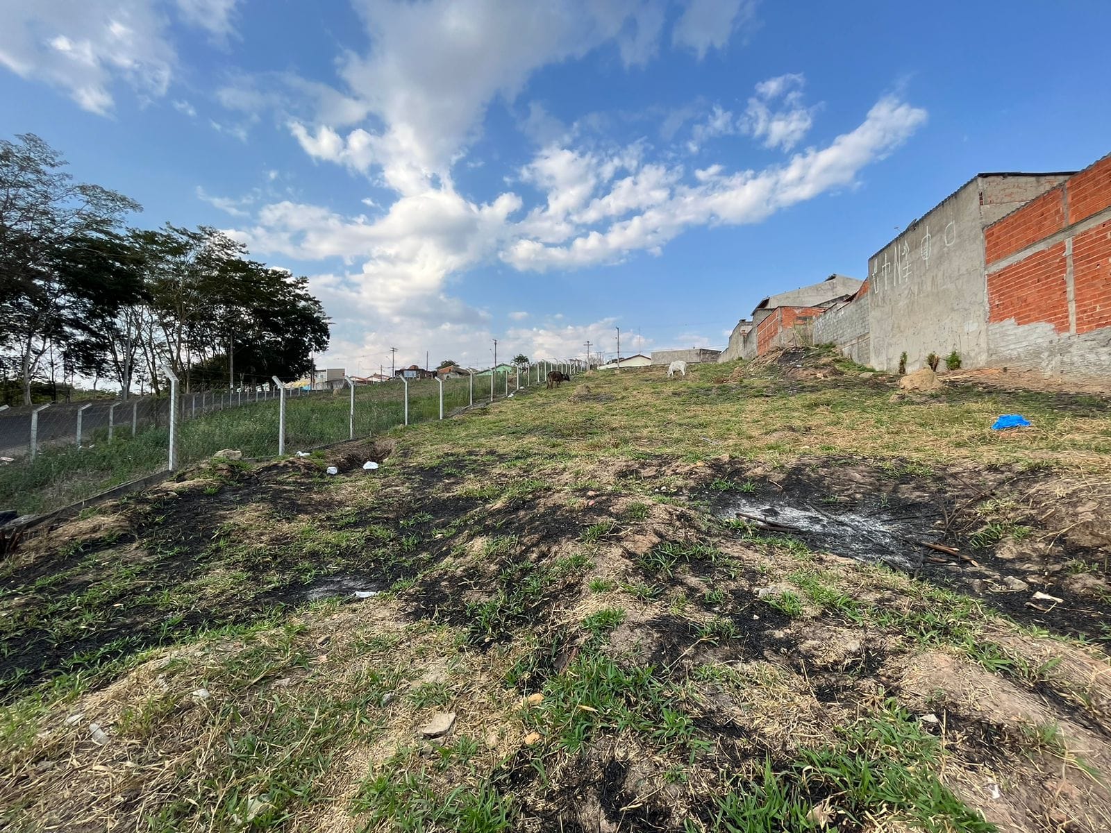 Terreno, 726 m² - Foto 1