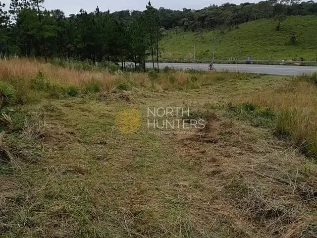 Terreno com 92000m², à venda, no bairro Centro em Campo Alegre