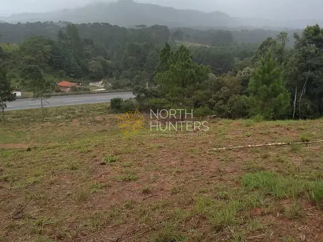 Terreno com 92000m², à venda, no bairro Centro em Campo Alegre