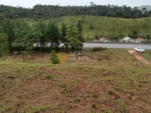 Terreno com 92000m², à venda, no bairro Centro em Campo Alegre