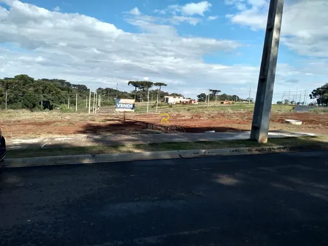Terreno com 250m², à venda, no bairro Industrial em Guarapuava