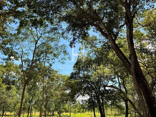 Terreno com 2000m², à venda, no bairro varjão em Varjão
