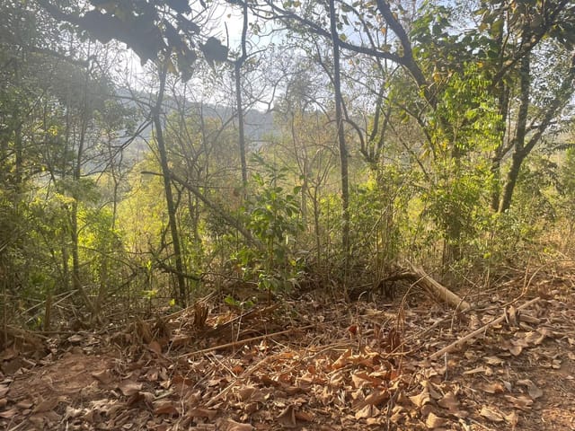 Terreno com 5349m², à venda, no bairro Vazes em Cambuí
