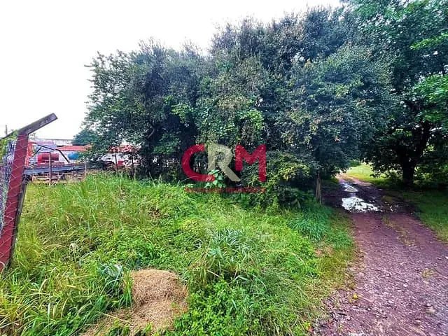Terreno com 9986m², à venda, no bairro Jardim Santa Cruz em Taquaritinga