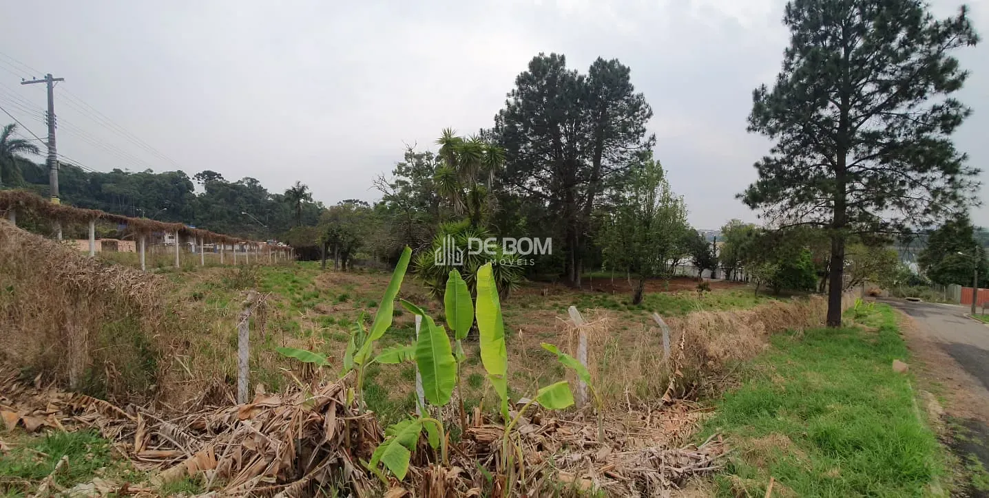 Terreno, 1274 m² - Foto 6