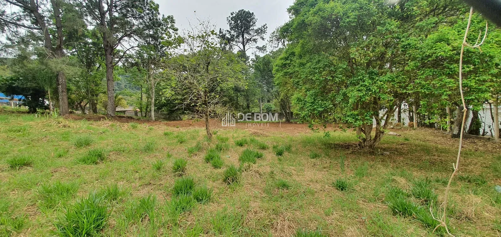 Terreno, 1274 m² - Foto 10