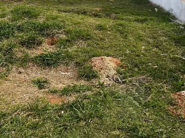 Terreno com 132m², à venda, no bairro Sítio Boa Vista em Cotia