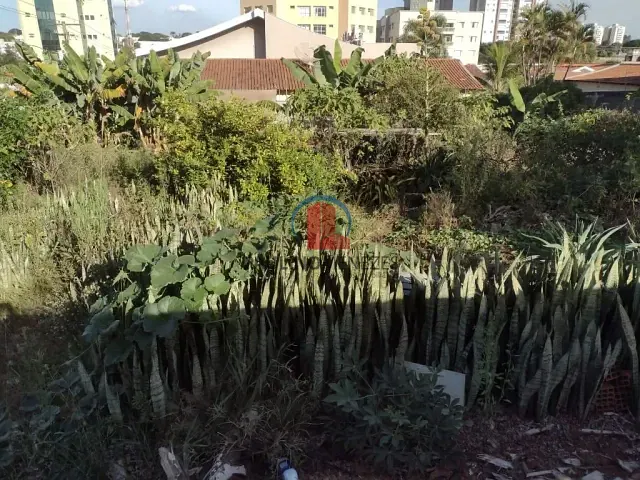 Terreno com 1000m², para alugar, no bairro Santo Antônio em Americana