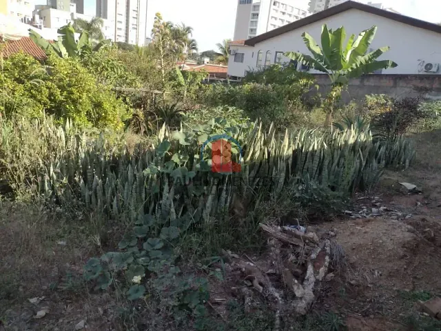 Terreno com 1000m², para alugar, no bairro Santo Antônio em Americana